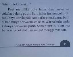 Teks deskripsi spasial adalah teks yang menggambarkan objek secara detail. Paragraf Tersebut Termasuk A Deskripsi Orang B Deskripsi Waktu C Deskripsi Tempat D Deskripsi Brainly Co Id