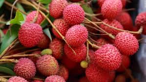 All about lychees nutrition information, calories in lychees, nutritional benefits of lychee fruit, lychees and weight loss. 5 Top Health Benefits And Nutritional Facts Of Litchi Fruit