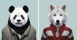 Spiders that look like crabs, fish camouflaged to appear invisible, or even fish that can fly, are just some it is dangerously poisonous and even deadly for humans. This Artist Spent 3 Years Dressing Zoo Animals Like Humans And The Clothes Fit Unbelievably Well Bored Panda