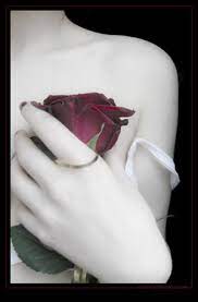 Vinicio Capossela - Con una Rosa - da Note di Passione di Fiori e Poesie