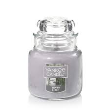 Yankee Candle Small Jar Candle Silver Birch Walmart Com Walmart Com