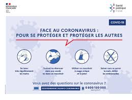 In humans and birds, they cause respiratory tract infections that can range from mild to lethal. Tout Savoir Sur Le Coronavirus Covid 19