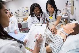 Undergraduate | University Of Maryland School Of Nursing