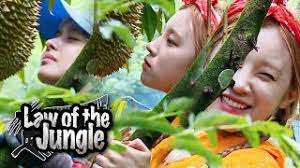The show is hosted by comedian kim byung man, and each episode invites various celebrities from the various field. Yuqi Carefully Tastes The Durian First What Will Durian Taste Like Law Of The Jungle Ep 382 Youtube