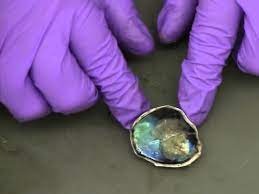 Due to the retina's vital role in vision, damage to it can cause permanent blindness. Fresh Cow Eye Dissection Part 3 Iris And Retina Youtube