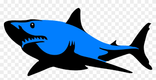Hand drawn cute shark for t shirt printing. Clipart Black And White Stock Collection Of Free Fripperer Silhouette Great White Shark Clipart Hd Png Download 960x480 1892568 Pngfind