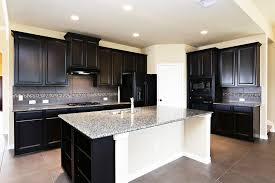black cabinets and black appliances