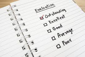 One who estimates officially the worth or value or quality of things. Performance Appraisals And The Halo Effect Hr Daily Advisor