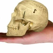 We did not find results for: Accidentul Vascular Cerebral Simptome Diagnostic Tratament