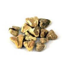 The powder gruel of the water chestnut is beneficial for intestines and for removal of internal heat. Dried Water Chestnuts Singhara Khushk Jariboti