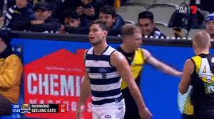 See more ideas about crazy cats, funny animals, funny cats. Geelong Cats Gifs Get The Best Gif On Giphy