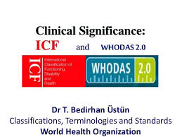 Defining Classifying And Measuring Functioning And Disability In Ds Disability Dsm 5 Clinic