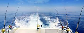 Tekneden Balık Avı | Sport Fishing Turkey