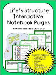 Life Structure This Life Structure Interactive Notebook Section Has A Lot To Offer 55 Pages Of Zero Repeat Items This Interactive Noteboo Interactive Notebooks Science Notebooks Life Science