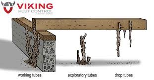Get info on viking termite & pest control. Viking Pest Control Vikingpest Twitter