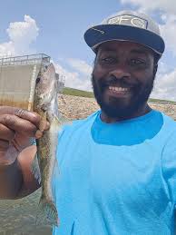 Is the first picture a sauger or saugeye. This is the fist one that I've  caught. I'm pretty sure the second picture is a sauger. They are mot ghe  same fish. Any