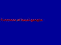 The basal ganglia are a group of neurons below the cerebral cortex that are mainly involved in motor function and the planning of directed movement. Basal Ganglia Dr K Shankar Bhat Sr Prof