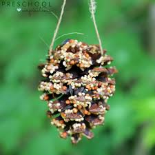 This site has examples of durable class sets of beaks to use from year to year. How To Make Pine Cone Bird Feeders With Preschoolers