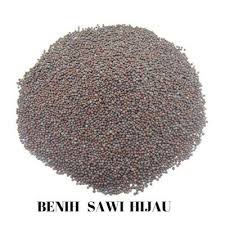 Biji benih bil jenis gram kadar (rm) catatan 1 bayam hijau 5 13.00 2 bayam merah 5 13.00. Buy Biji Benih Sawi A1 20pcs Seetracker Malaysia