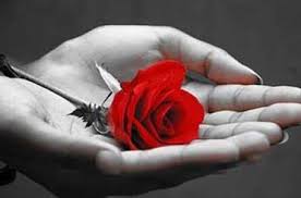 Image result for ‫قدرشناسی‬‎