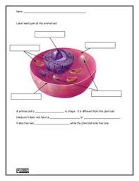 Plant And Animal Cell Science Worksheet Science Cells Animal Cell Science Teaching Resources