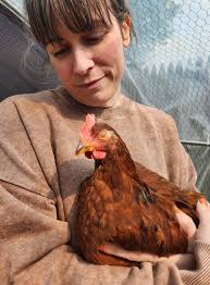 Delicious food deals at Red Rooster in Boyle County