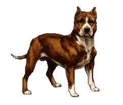Dogs Animated Images Gifs Pictures Animations 100 Free Animated dog gif 12 » gif images download. dogs animated images gifs