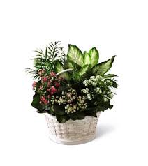 Cedar rapids was majorly impacted by the iowa flood that occurred in 2008. The Ftd Rural Beauty Dishgarden Iowa City Ia Florist