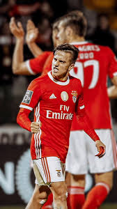 I love seeing my wallpapers out there on your computer screens, and always appreciate it when you tag me in your insta, twitter, or facebook. Wallpapers Benfica On Twitter Cervi Wallpaper Header