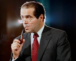 Andrew Scalia 2025
