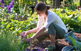 Learn how to grow a perfectly productive garden with our expert gardening tips, ideas and gardening. Gardening Resolutions For The New Year Better Homes Gardens