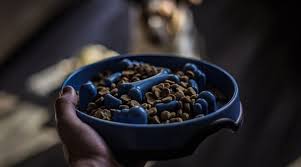 Fun to watch the dogs work out removing the treats! Kong Slow Feeder Puzzle Dog Bowl Review Wheeling With Dogs