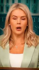 Noah Doherty (@NovaBoom11)