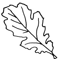 Maybe you'd like to celebrate spring by coloring bunnies or chicks, or you're eager for summer and shark week. Get This Fall Leaves Coloring Pages For Kindergarten Ta479