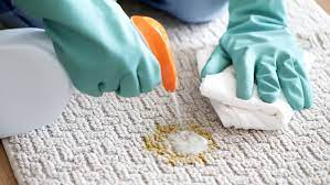 How To Remove Vomit Stains From Carpet