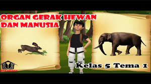 Sebutkan Masing Masing 5 Contoh Hewan Vertebrata Dan Invertebrata Dengan Cara Gerak Berbeda Beda Tribun Pontianak