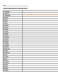 Body Regions Chart For Anatomy