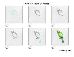 How To Draw A Parrot - Helloartsy