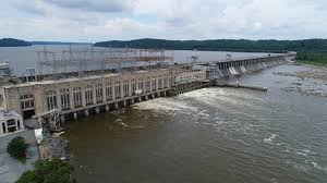 Image result for Conostomium zoutpansbergense