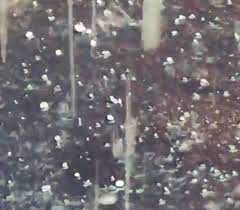 Fin dal tardo pomeriggio di oggi temporali, in intensificazione ed estensione domani. Meteo Cronaca Diretta Video Bologna Sotto Una Violenta Grandinata Ilmeteo It