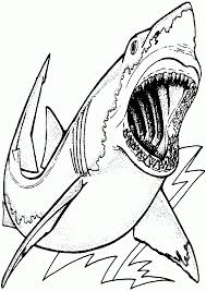 Color in this picture of tiger shark and share it with others today! Shark Coloring Pages Best Coloring Page Site Coloring Home