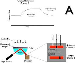 Differentiates between the kretschmann− and otto−configuration, see fig.1. Surface Plasmon Resonance Wikipedia