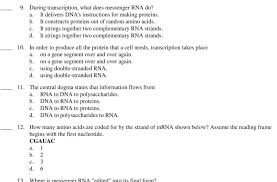Sion of houghton mifflin company chapter 8 from dna to proteins. Chapter 8 From Dna To Proteins Vocabulary Practice Answers Ch 5 Vocab Practice The Bridge Between Dna And Protein Synthesis Is The Nucleic Acid Rna Myrta Hendley
