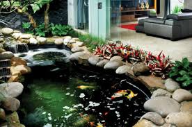Warna cat teralis yang bagus. Letak Kolam Ikan Menurut Feng Shui Jurnal Lamudi