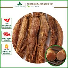 Hồng sâm sấy dẻo 100g ( Nhân sâm củ, sâm râu bồi bổ sức khỏe ) - Chợ Thảo  Dược Việt | Shopee Việt Nam