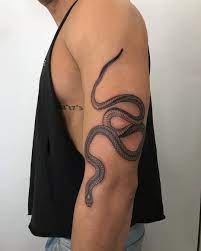 Snake Tattoo On Arm Tattoos Cool Arm Tattoos Snake Tattoos Arm
