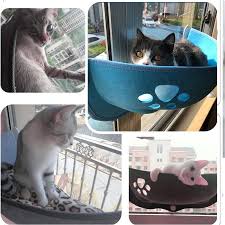 pet window hammock pet hammock cat hammock cat hammock window