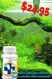 Buy Fish Metro Zole 500 Online Dog Food Online Can Dogs Eat Apples Online Pet Supplies