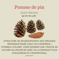 Pomme De Pin Boiteaufle Learnfrench Aprenderfrances Apprendrelefrancais Fle Civilisation Repost France Say English Translation Pomme De Pin Pomme Fle