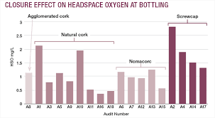 Key Points Of The Bottling Process Wines Vines Analytics